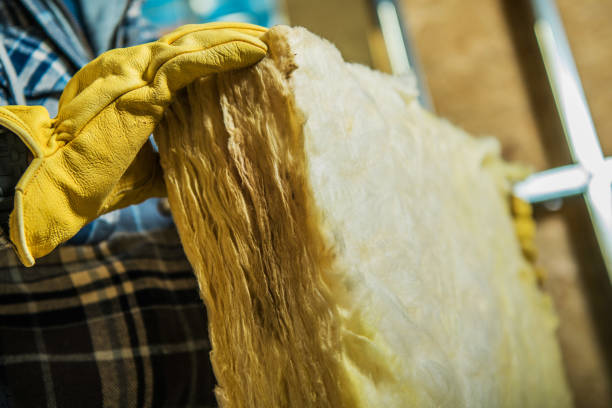 Professional Insulation Contractor in Norcross, GA